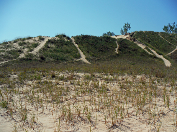 another dune with various trails